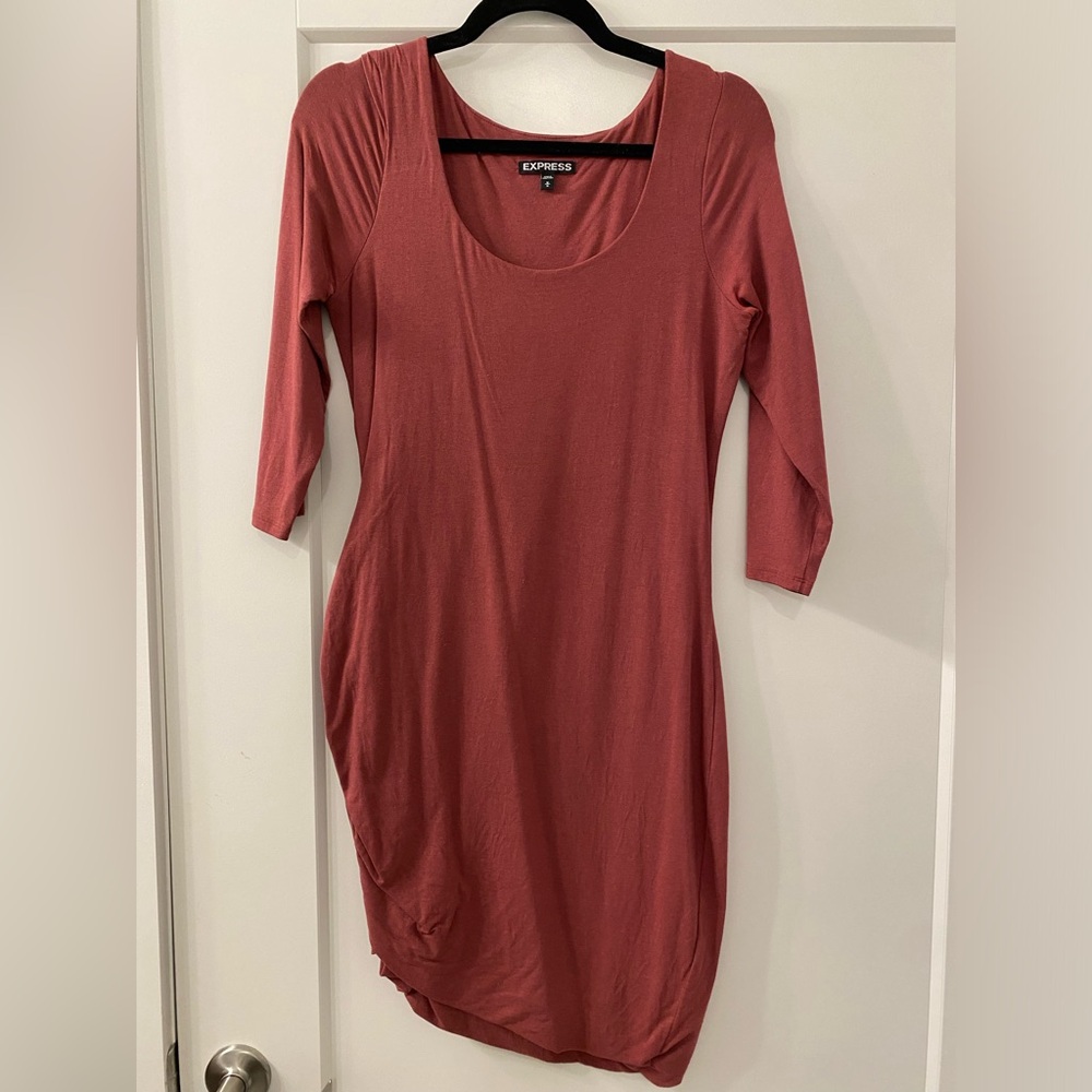 Express Women's Long Sleeve Rose Dress